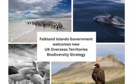 Home to more than 90% of the UK’s unique species, many found nowhere else on Earth