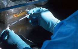 The biyearly drug is indicated for people aged 12 or over, weighing at least 35 kilos, at risk of catching the virus