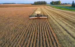 Overall production is 0.3% higher than in 2024/25, but the planted area has increased 2.1 million tons to 89.3 million tons