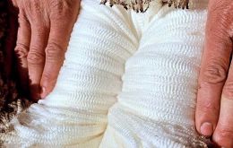 Merino wool sales (less than 16.5 microns) have been registered at US$ 11 a kilo with deals of US$ 10 a kilo for 17.5 microns wool.