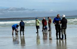 The team of researchers from the Uruguayan Faculty os Sciences working an collecting samples in Falklands’ sand beaches
