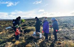 At Hadassa Bay nearly 5,000 plants in a single day is a real achievement, and a wonderful reminder of what the community and local environment work together .