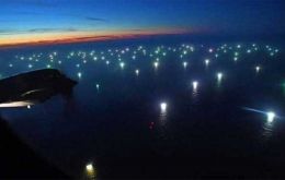 Spain controls much of the world's Loligo squid catch, mainly through the roughly 16 licences granted by the Falklands to fish in their waters, with catches close to 50,000 tons a year