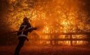 In France, more than 160,000 hectares have burned and some 13,566 fires or outbreaks have been recorded so far this season